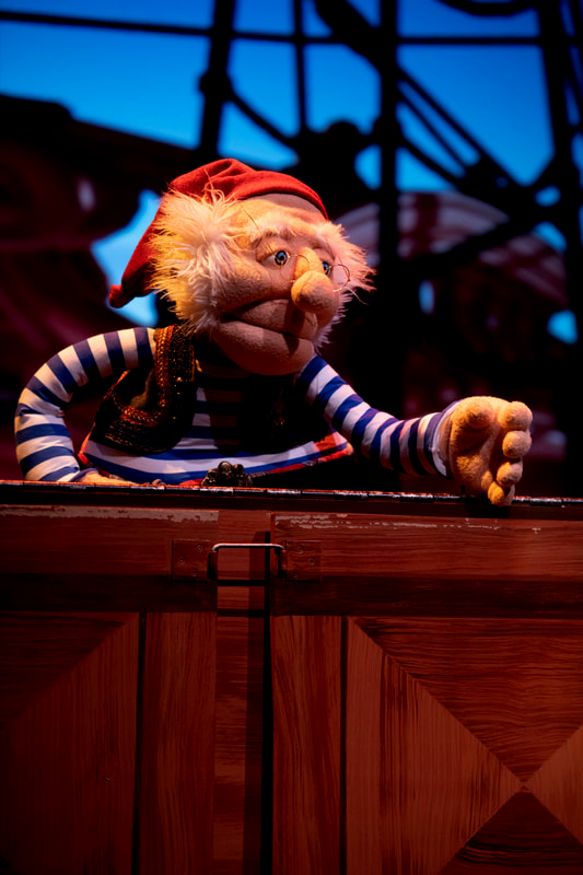 Peter Pan Pirate Closeup