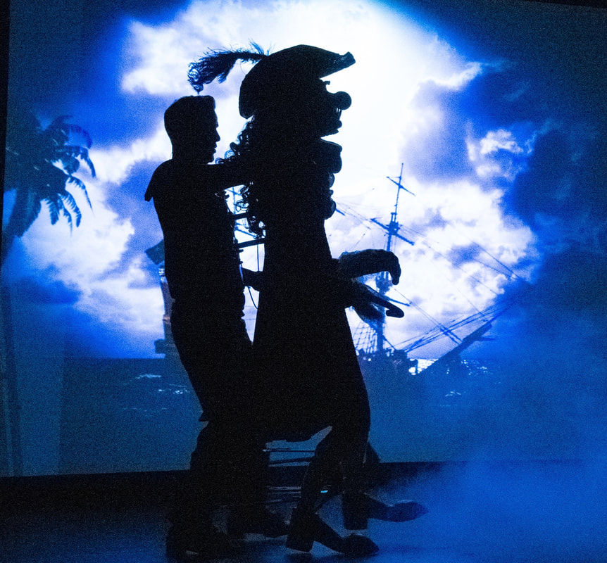 Captain Hook Shadow