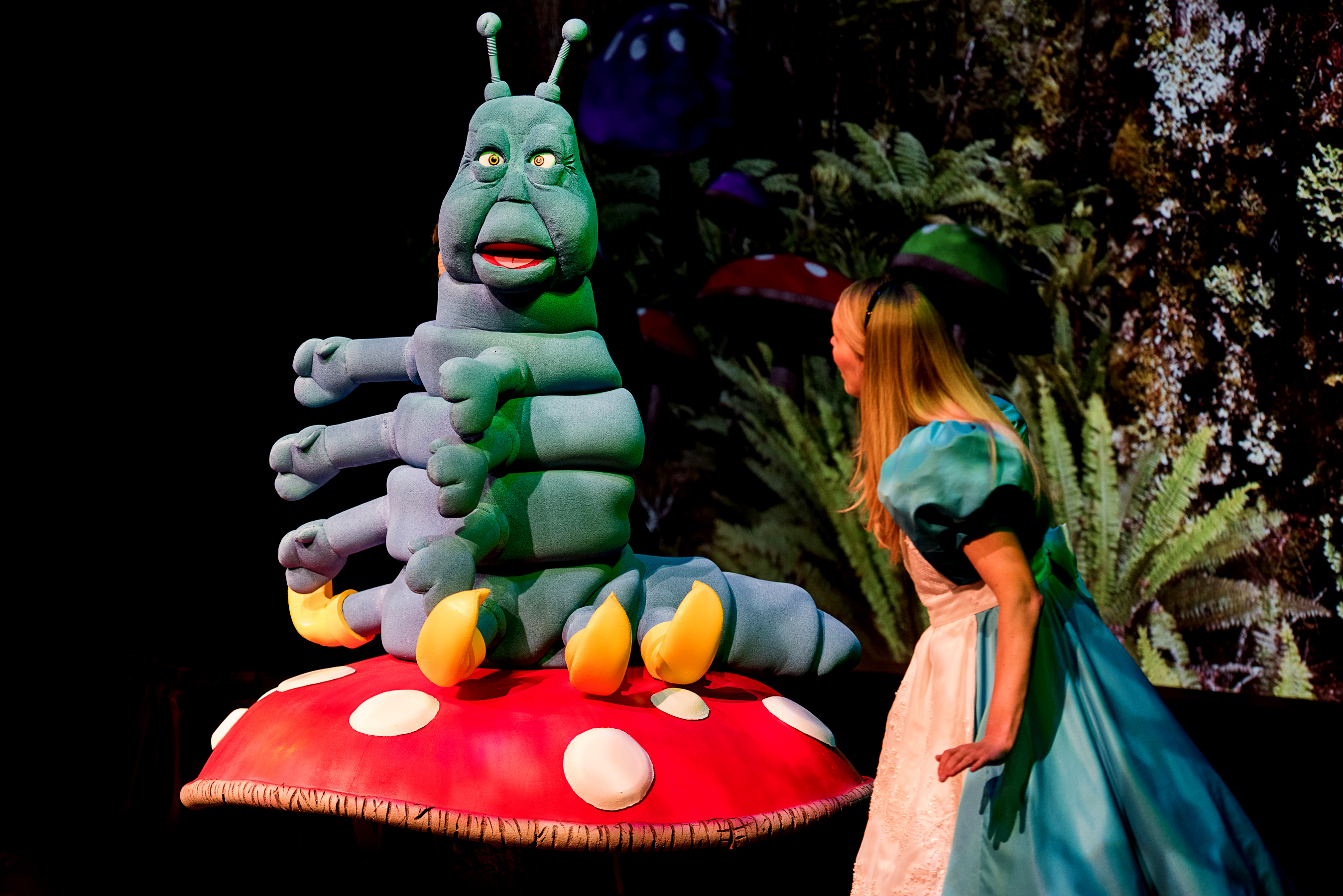 Alice & Caterpillar